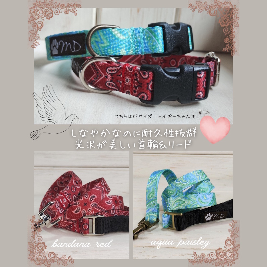 �A�N�A�y�C�Y���[