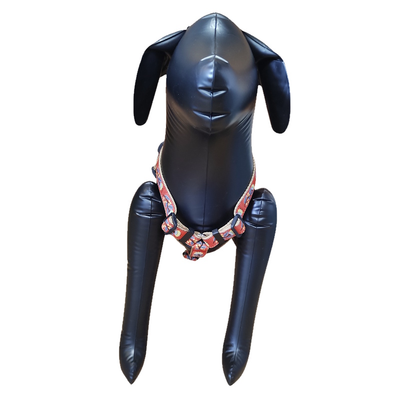 �j���[�P���A