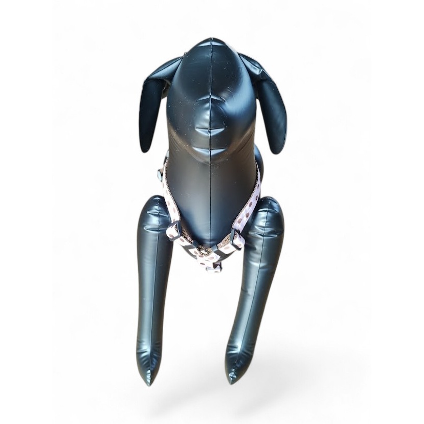 �L�����f�B�[�E�h�b�g