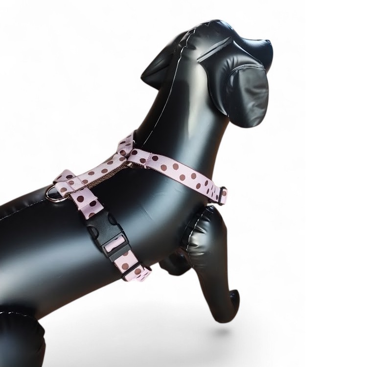 �L�����f�B�[�E�h�b�g