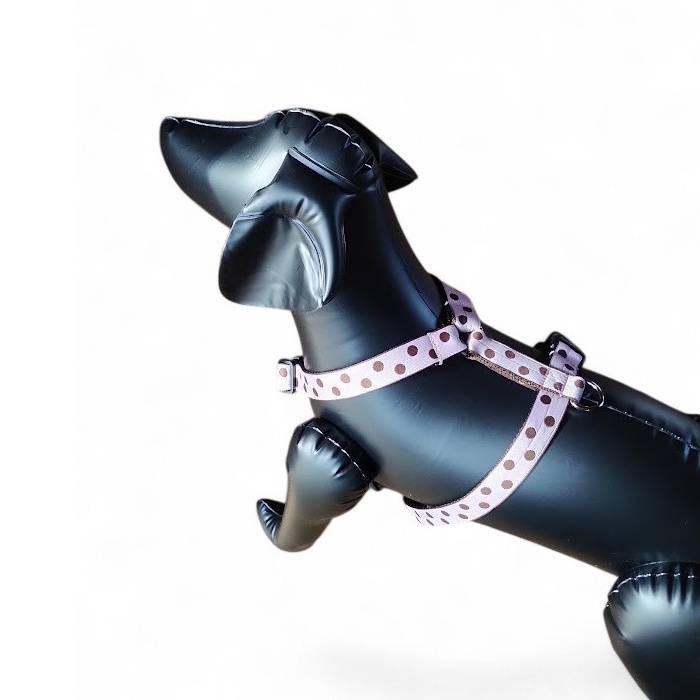 �L�����f�B�[�E�h�b�g