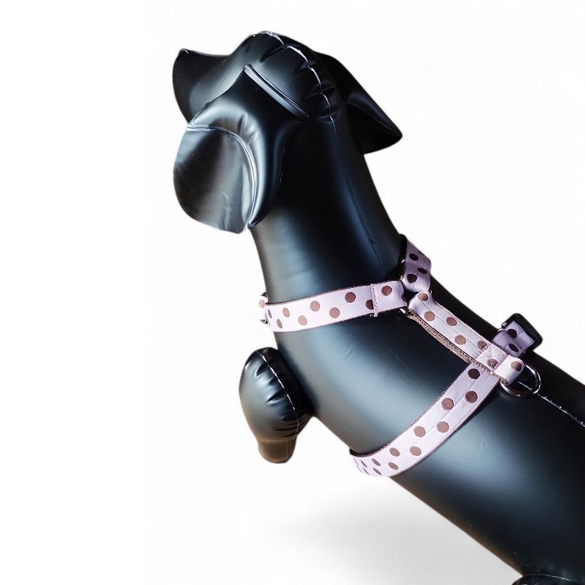 �L�����f�B�[�E�h�b�g