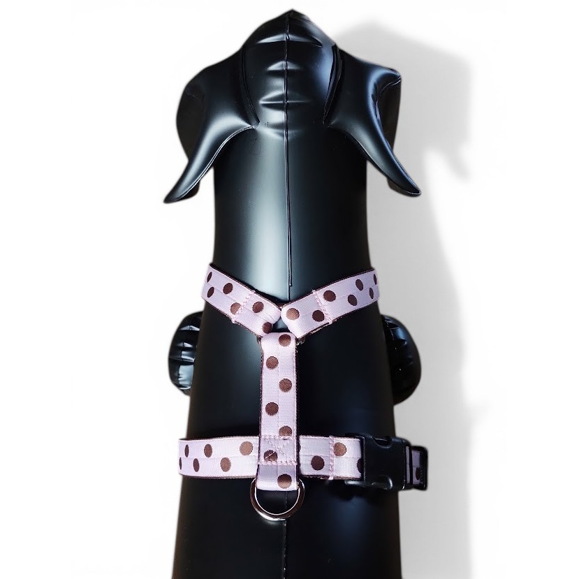 �L�����f�B�[�E�h�b�g