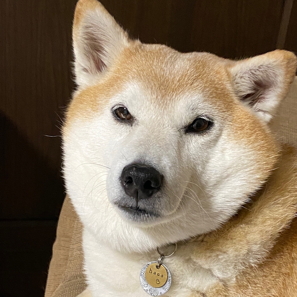 ���q�D�FMD414