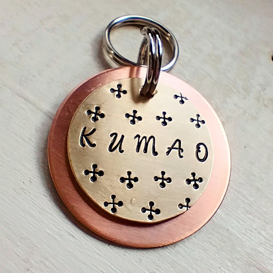 ���q�D�FMD462