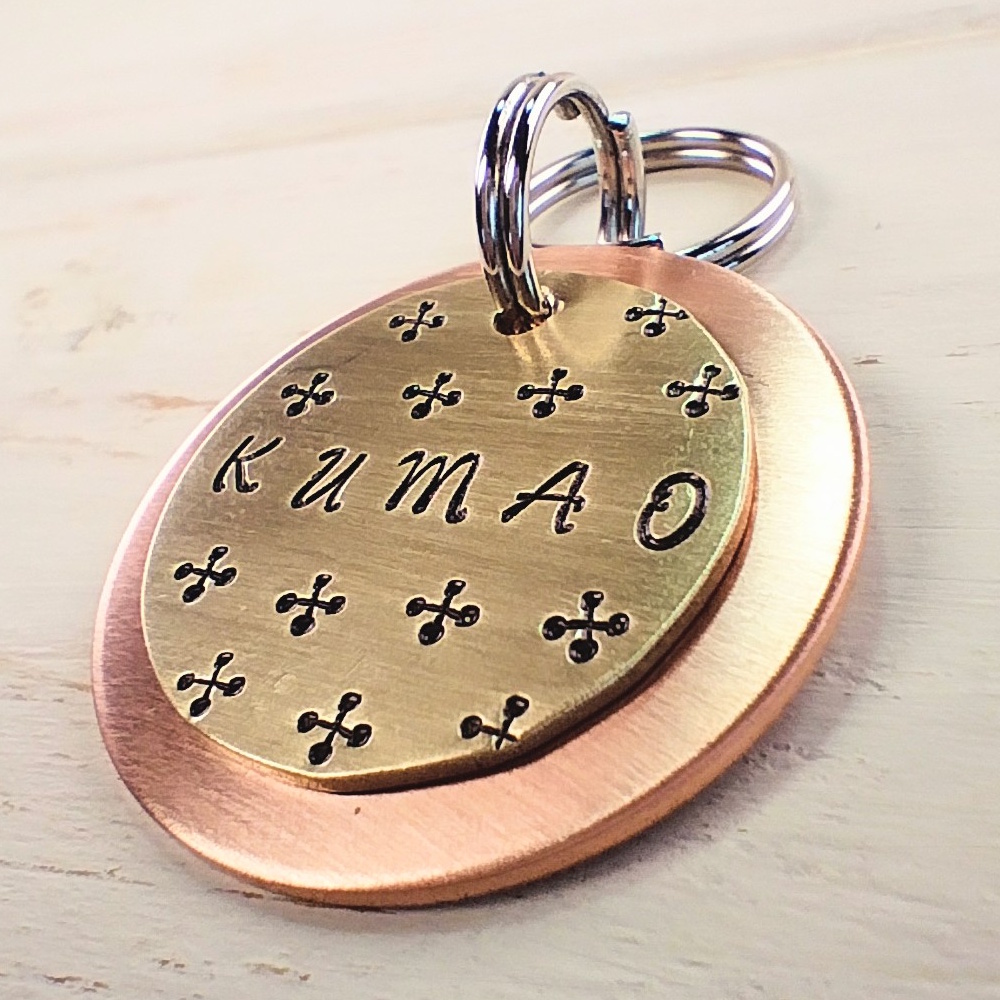 ���q�D�FMD462